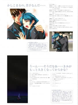 Muv-Luv Memorial Art Book_145_MLMAB143