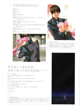 Muv-Luv Memorial Art Book_129_MLMAB127