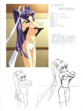 Muv-Luv Memorial Art Book_040_MLMAB038