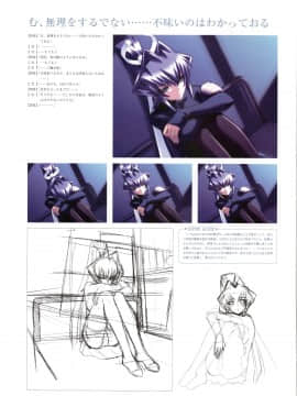 Muv-Luv Memorial Art Book_043_MLMAB041