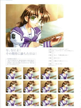 Muv-Luv Memorial Art Book_072_MLMAB070