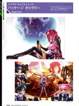 Muv-Luv Alternative Memorial Art Book_MLAMAB224