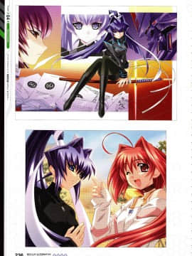 Muv-Luv Alternative Memorial Art Book_MLAMAB236