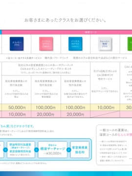 [H&ストック] 新・割高航空 淫精美エアライン 2020 Part A_007