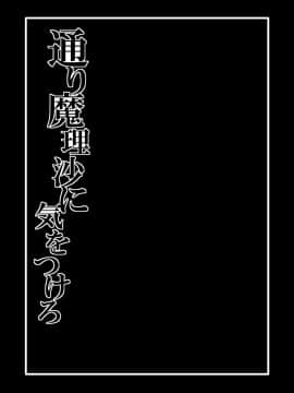 [冷し中華おわりました (ズル)] 通り魔理沙にきをつけろ 其の弐 (東方Project) [中国翻訳] [DL版]_02