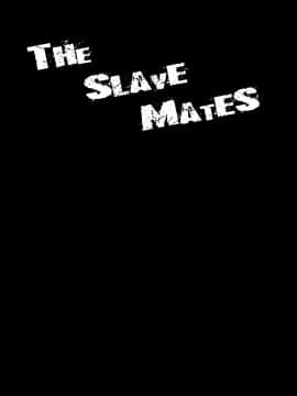 [自宅vacation (うるりひ)] THE SLAVE MATES (ストライクウィッチーズ) [中国翻訳] [DL版]_THE_SLAVE_MATES_04