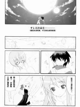 [枫色汉化] (COMIC1) [INFINITY DRIVE (京極しん)] Triplet repeat (ゼロの使い魔)_025