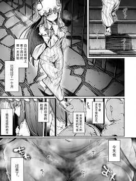 [自家発電処 (flanvia)] 穴とむっつりどすけべだいとしょかん 2 (東方Project) [中国翻訳] [DL版]_04