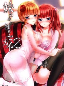 [不可视汉化] (C78) [感電少女注意報 (真冬)] 妹のみぞ知るセカイ2 (うみねこのなく頃に)