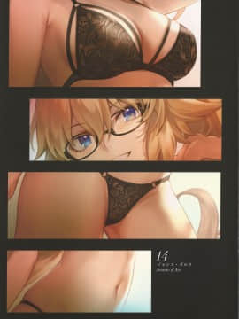 (C96) [Neko no Oyashiro (mashu)] Chaldea Lingerie Collection Vol. 3_0023