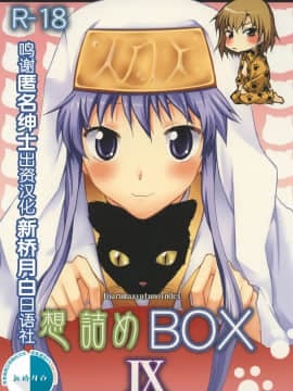 [新桥月白日语社] [想詰め (串カツ孔明)] 想詰めBOX IX (とある魔術の禁書目録) [DL版]