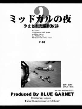 [空気系☆漢化] [BLUE GARNET (芹沢克己)] ミッドガルの夜2 (ファイナルファンタジーVII)_03