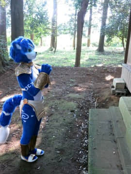 [Ayano Harumaki]  Krystal from Star Fox_0794_Ayano_Visits_Horse_Farm_and_Inari_Shrine_Cosplay.Ayano.InariShrine.03