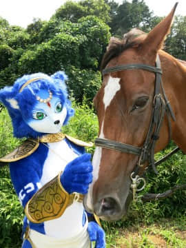 [Ayano Harumaki]  Krystal from Star Fox_0785_Ayano_Visits_Horse_Farm_and_Inari_Shrine_Cosplay.Ayano.HorseFarm.07