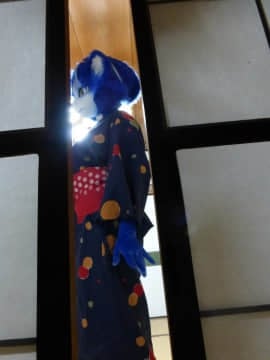 [Ayano Harumaki]  Krystal from Star Fox_0046_Ayano_Cools_Down_in_a_Yukata_Cosplay.Ayano.Yukata.04