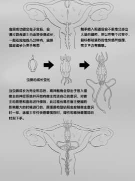 [skyzen] 寄生虫系列之钻阴虫_220