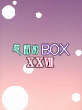 [零星汉化组] (サンクリ61) [想詰め (串カツ孔明)] 想詰めBOX XXVII (Fate╱kaleid liner プリズマ☆イリヤ)_22