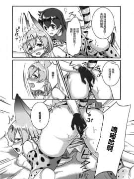 [沒有漢化] (C92) [天堂紙 (梟森)] 大好きに決まってる!! (けものフレンズ)_13