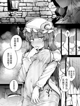 [牛肝菌汉化] [自家発電処 (flanvia)] 穴とむっつりどすけべだいとしょかん 3 (東方Project) [DL版]_03