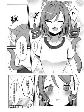 [脸肿汉化组] (C97) [M.M (ミア)] おねーちゃんはあたしのねこ (BanG Dream!)_22