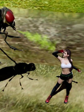 [HoneyHappy] Tifa vs Fly_TVF029