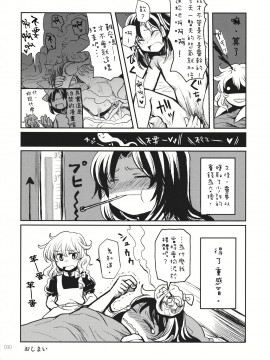 [主角组吧汉化组] (こいまり3) [マリレイマリ命 (よろず)] Reverse (東方Project)_029