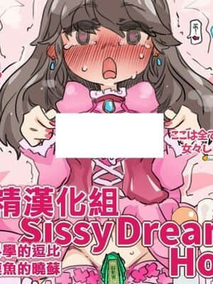 [SWEETTABOO (ryokutya)] SISSYDREAMHOUSE [风油精汉化组]_00001