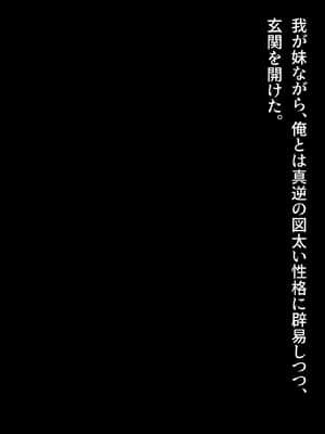 [diletta (サワダユウスケ)] 巨根の兄、生意気でドMな妹とイチャイチャする_008_txt01_0006