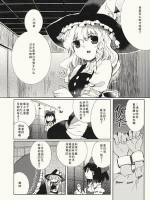 [主角组吧汉化组] (C79) [おいもと (鈴音ゆうじ)] 明星の籠り詩 (東方Project)_08