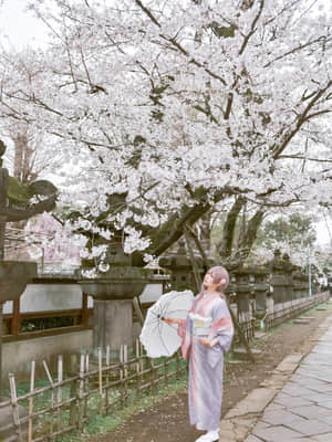 [Ely] Sakura桜 2021_54_08