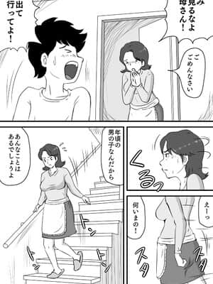 (同人誌) [桃尻ハッスル堂] お母さんと短小息子 (オリジナル)_04