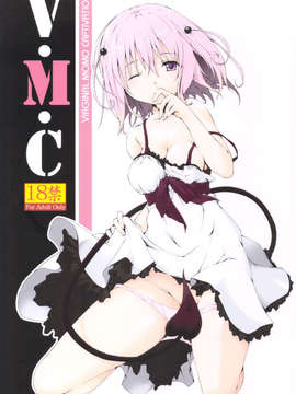 (C83) (同人誌) [after party (ぱせら)] VMC (ToLOVEる))