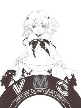 (C83) (同人誌) [after party (ぱせら)] VMC (ToLOVEる))_scan0002