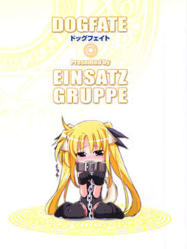 (C83) (同人誌) [EINSATZ GRUPPE (チャーリーにしなか)] DOG FATE (魔法少女リリカルなのは)_scan0026