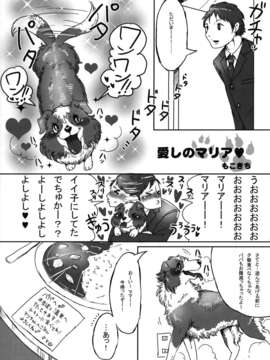 (C83) (同人誌) [迷い猫 (中上たかし, カズヒロ, シンドール, 他)] ケモっ娘ラヴァーズ 3_Kemokko_Lovers_3_0239