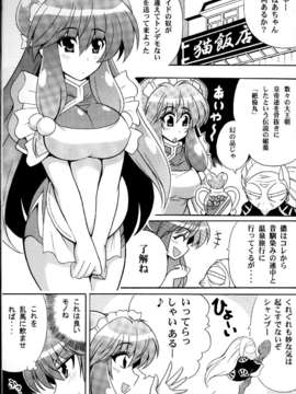 (C84) [りーず工房 (王者之風)] 猫飯店 究極的裏菜単 (らんま12)_03_CH_002