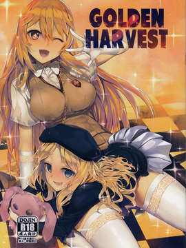 (C84) [煩悩ストリーム] GOLDEN HARVEST (とある科学の超電磁砲)_01_IMG_0001