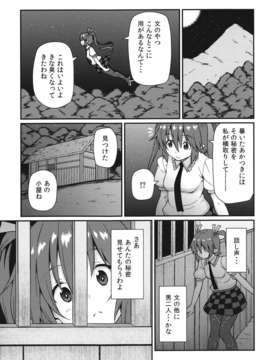 (C84) [広十練習帖 (広弥)] ブン屋の仕事 (東方Project)_04__005