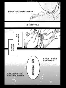 [空気系☆漢化] (C85) [FRAC (もとみやみつき)] In The Closet (艦隊これくしょん-艦これ-)_031