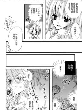 [伞尖绅士汉化组] (C76) [ポニテケ族 (羽霜ユキ)] 魔女の美しい友情の話ー妖夢の八雲紫駆除日記ー (東方Project)_10