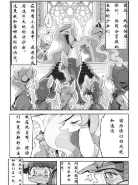 [汉化](C84) [電気式 (リコセ)] PNGK PONI-GAKU! (マイリトルポニー～トモダチは魔法～)_47_46_T_461