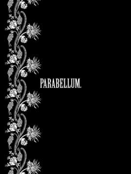 (C77) [BUFFALOW PROPAGANDA.] PARABELLUM (オリジナル) [oxt04389漢化]_para_21