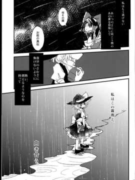 (C85) (同人誌) [AM-TIGER (Toran)] Sono Mukashi, Kanojo ni Hitsuyou datta Koto Yume (Touhou Project)_C85AM.TIGER_041