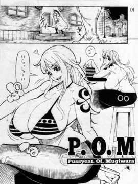 (C85) (同人誌) [こちょこちょ高校 (梵典)] P.O.M (ワンピース)_pom_003