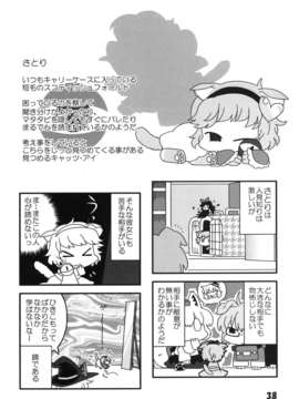 (C85) [RUMP(凡)] 猫飯事 4?5?6総集編 (東方)_Neko_38