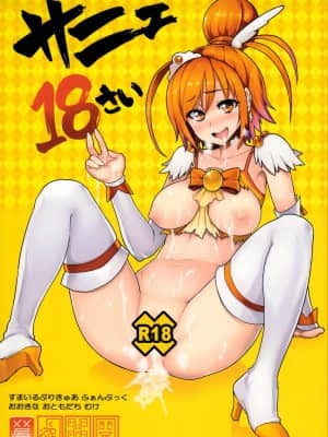 [路过的骑士汉化组] (C83) [メメ屋 (メメ50)] サニェ18さい (スマイルプリキュア!)