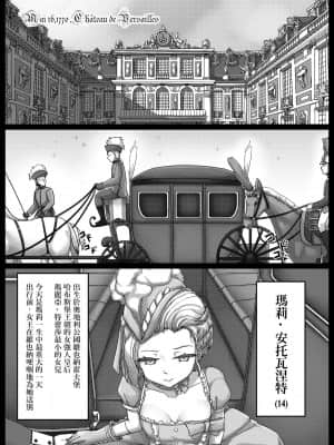 (FF34) [少搬三箱繪師勞動陣線 (RarityUSSR)] 仏蘭西禮賛 (FateGrand Order) [中国翻訳]_02