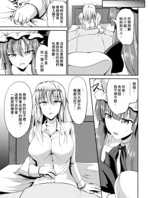 [最爱福瑞汉化组] (C90) [らふれしあ (キャンベル議長)] 侵入者 (東方Project)_22