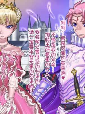 [pinkjoe] 報酬の姫君 princess super slut [我不看本子个人汉化]_00000047