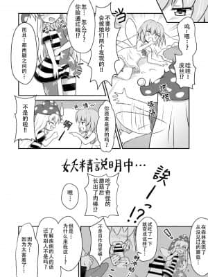 [四字神社汉化] (例大祭16) [白月しおり] 妖精セックスコミュニケーション (東方Project)_05